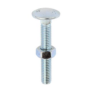 M6 x 40 Cup Square Carriage Bolts